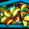 Lily Window for Raichles; 2004; fused glass and traditional glass painting; 15 x 32 inches