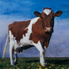 Cow; 2002; oil on canvas (with cowhide frame not pictured); 17 x 20 ¼ inches