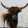 Bullhead; 2002; oil on canvas; 9 1/8 x 12 inches