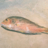 Pet in Distress (detail); 1998; oil on canvas